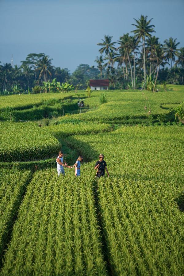 The Sun Of Granary Resort And Villas Ubud Exterior foto