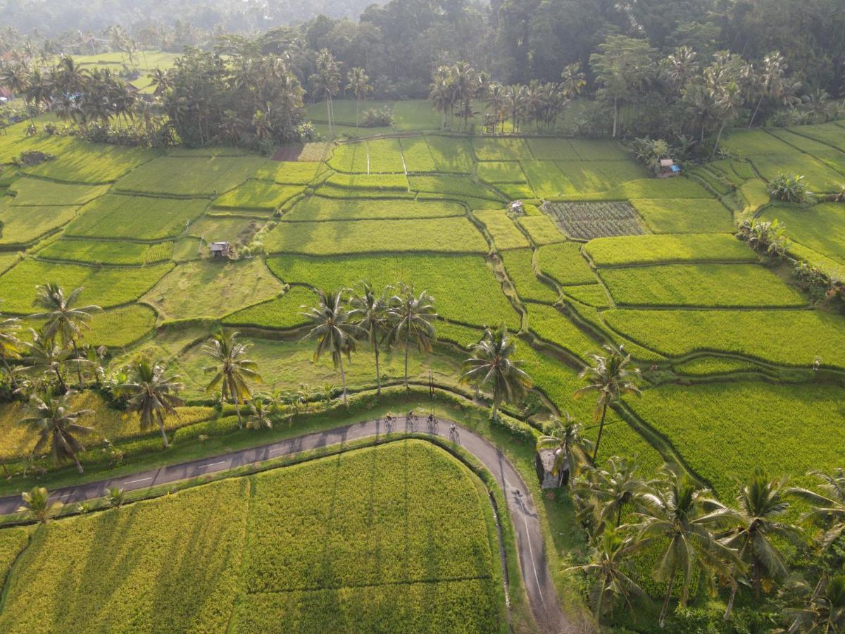 The Sun Of Granary Resort And Villas Ubud Exterior foto