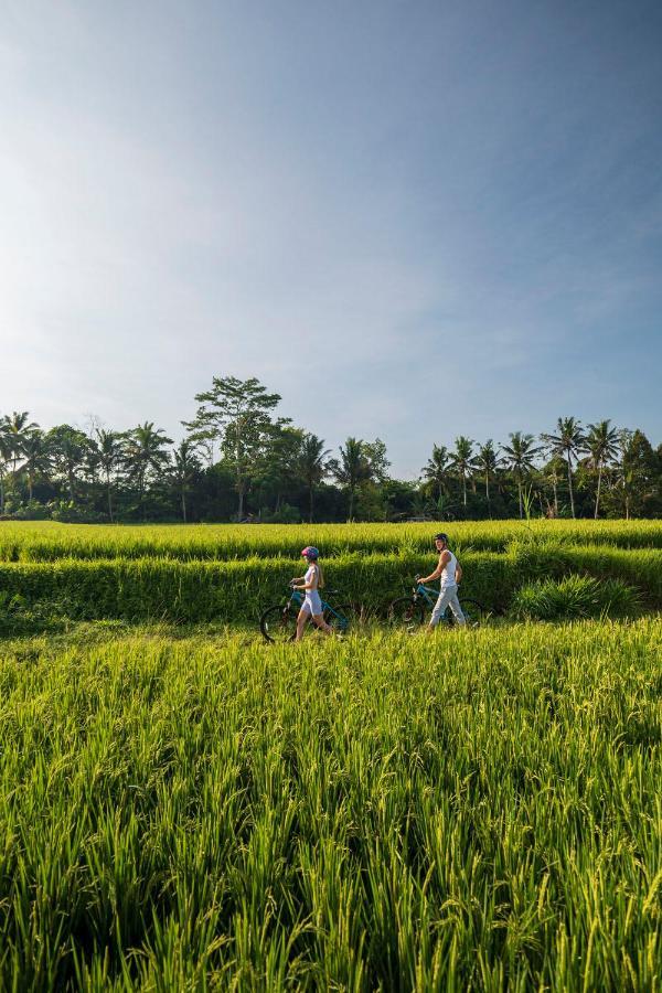 The Sun Of Granary Resort And Villas Ubud Exterior foto